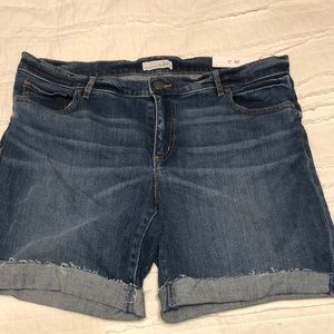 Loft Roll Edge Denim Shorts